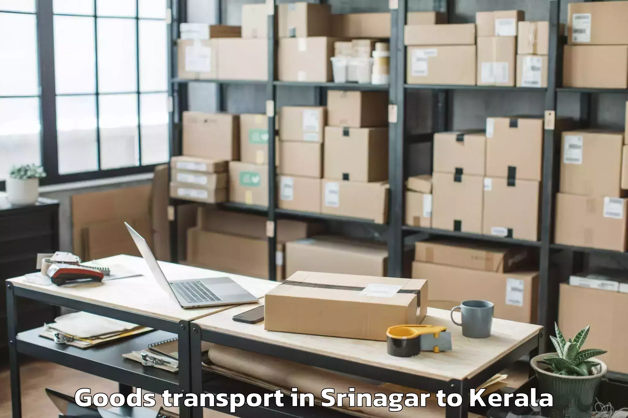 Discover Srinagar to Mannarkkad Goods Transport